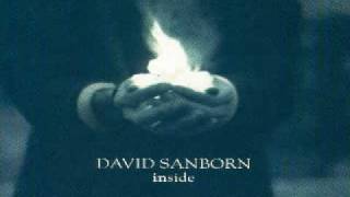 David Sanborn  Brother Ray [upl. by Cece]