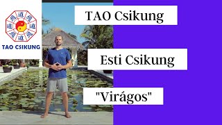 TAO Csikung  12 perces esti csikung  a stressz átalakítására életerővé [upl. by Meeharbi779]