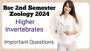 bsc 2nd semester zoology 1 important questions 2024 mgsu higher Invertebrates important questions [upl. by Karilynn671]