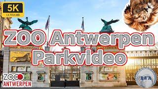 ZOO Antwerpen 2024 Parkvideo 5K [upl. by Enenstein]