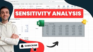 Sensitivity Analysis  Microsoft Excel [upl. by Gerald]