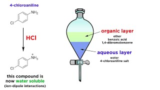 Separating Components of a Mixture by Extraction [upl. by Oigolue]