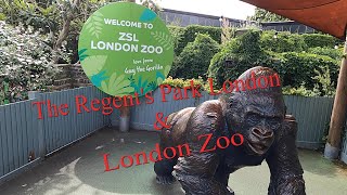 The Regents Park London  London Zoo [upl. by Stets]