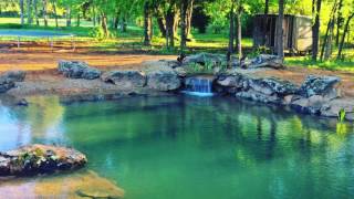 Backyard Swim Pond That Stays Crystal Clear Water In DFW Texas [upl. by Agn469]