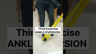 4 Best Ankle Strengthening Exercises  Ankle Sprain Exercises  ankleexercises [upl. by Phyllida]