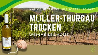 WeinmeileHome  MüllerThurgau trocken Naumburger Weinbaugesellschaft [upl. by Oba53]