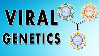 Reassortment Phenotypic mixing Recombination and Complementation [upl. by Nosnek]