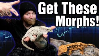 You NEED These Morphs Top 5 Crested Gecko Morphs To Invest In 2023 [upl. by Lohman]