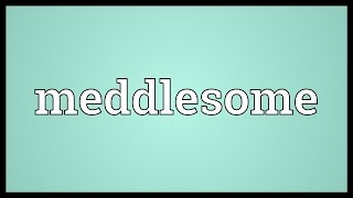 Meddlesome Meaning [upl. by Eisus]