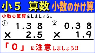 算数 小518 小数のいろいろなかけ算の筆算 小数のかけ算3 [upl. by Bred]