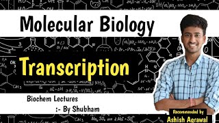 Transcription  Molecular Biology  Biochemistry lectures [upl. by Anilek527]