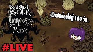 Live🍖 ฝึกฝนก่อนของจริง อย่าหิวแบบสุดโหด  Dont Starve Together Uncompromising Mode [upl. by Niknar191]