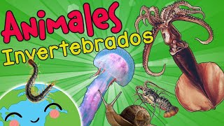 Filum Nemátodo Características🕷️🐍 l Animales Invertebrados l Ciencias Naturales [upl. by Annayi]