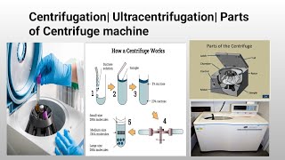 Centrifugation Ultracentrifugation Cell Fractionation [upl. by Aronek]