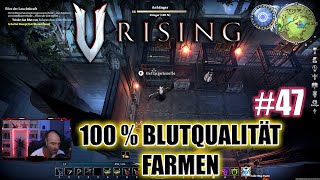 V Rising  100  Blutqualität farmen  Lets Play Deutsch  German [upl. by Aener377]