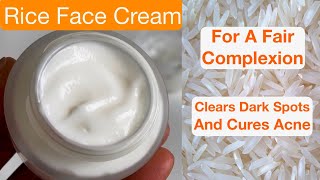 Homemade RICE Face Cream And Moisturiser With Homemade Rice Starch Dries Acne Clears Dark Spots [upl. by Melina]