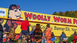 Slow and Steady 46th annual Woolly Worm Festival is Oct 20 [upl. by Merow]