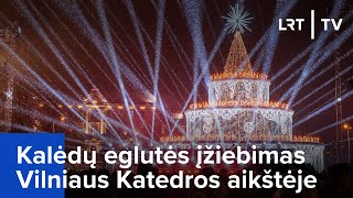 Kalėdų eglutės įžiebimas Vilniaus Katedros aikštėje  20231201 [upl. by Culbert]