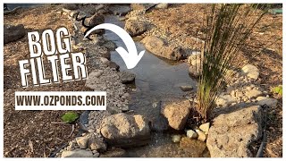 Bog filter in a stream DIY Pond build [upl. by Parrish]