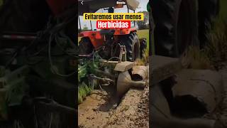 Uso de Herbicidas en cultivo de arroz cultivos agricultura agriculture agro mundoagronomico [upl. by Anirehs856]