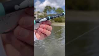 BEST Inshore Fishing Setup [upl. by Stalder300]