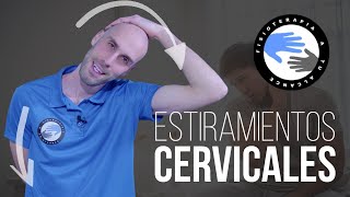 Rutina de estiramientos para las cervicales 15 MINUTOS [upl. by Bernt]