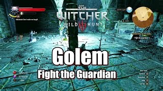 The Witcher 3 Wild Hunt Fight the Guardian Golem Wandering in the Dark [upl. by Seuqcaj]