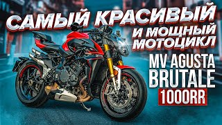 СПОРТБАЙК БЕЗ ПЛАСТИКА  Обзор и тестдрайв красотки MV AGUSTA BRUTALE 1000RR [upl. by Palocz]