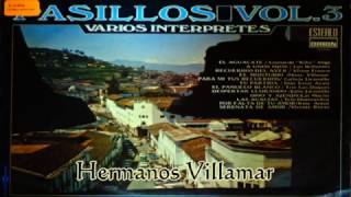 Hermanos Villamar  El Montubio [upl. by Nya344]