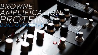 Browne Amplification Protein  Sketch amp Demo [upl. by Ainoet277]