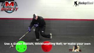 Stickhandling Drills  Reach and Mobility [upl. by Edric]