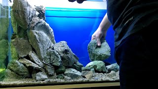 200 liters New Malawi Tank setup  Demasoni amp Interruptus [upl. by Einner]