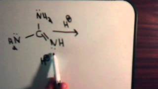 Organic Chemistry Video  17 Resonance  Example 13 Guanidine [upl. by Pang]