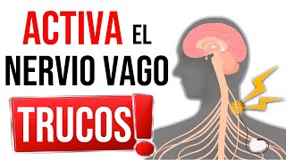 ANSIEDAD SUEÑO Y CANSANCIO  CONCENTRACIÓN y MEMORIA 💥 Consejos para Activar el Nervio Vago [upl. by Emmalynn]