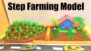 step farming model making project  DIY  science project  howtofunda  agriculture model [upl. by Doro916]