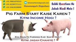 Pig Farm Start Kaise Karen   Kitni Income Hogi   Kitni Jagah Chahiye ll Swastik Pig Farm [upl. by Elgar]