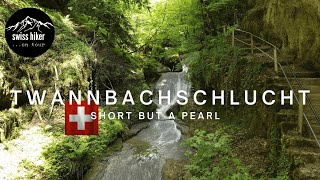 Twannbach Gorge A Breathtaking Adventure Begins Switzerland 4k [upl. by Adao]