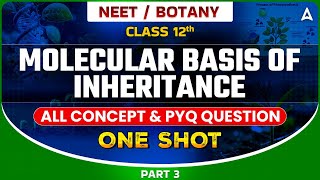 MOLECULAR BASIS OF INHERITANCE CLASS 12  NEET 2024  ALL CONCEPT amp TRICKS  BOTANY BY SANKALP [upl. by Alahs597]