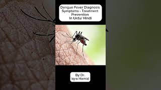 Dengue Fever  Symptoms  Diagnosis  Treatment  PreventionIn Urdu Hindi [upl. by Lavena544]