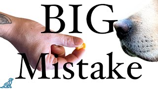 The BIGGEST Mistakes People Make When Treat Training A Puppy [upl. by Odelet]