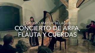 Concierto de arpa flauta y cuerdas [upl. by Anderea]