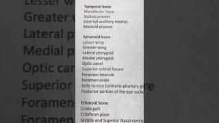 Sphenoid Bone Anatomy [upl. by Namrak]