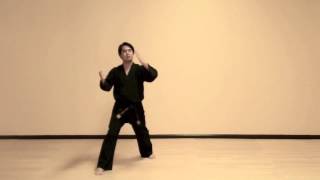 Do San StepByStep Tae Kwon Do [upl. by Sieber]