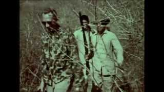 Rare Footage Tiger Hunting with Recurve Bow From The Fred Bear Archive [upl. by Ahsinet]