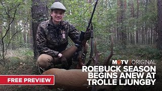 Roebuck Season Begins Anew at Trolle Ljungby Series 1  An MOTV Original [upl. by Anatolio]