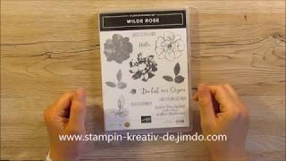 Stampinup für Anfänger Thema Embossing [upl. by Martineau751]