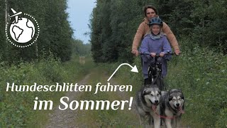 Hundeschlitten im Sommer  Stationshuset in Schweden  Vlog [upl. by Dlareg]