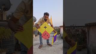 Patangbazi Meerut kite kiteflying kitefestival meerut india vlog meerutvlog shortvideo [upl. by Atekan]