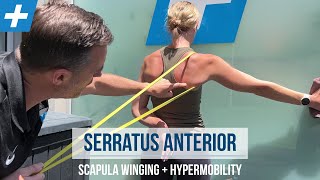 Serratus Anterior Exercises for Winging Scapula and Hypermobility  Tim Keeley  Physio REHAB [upl. by Rosenblatt931]