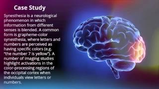 Visualization of a Damaged Occipital Lobe [upl. by Hartill]